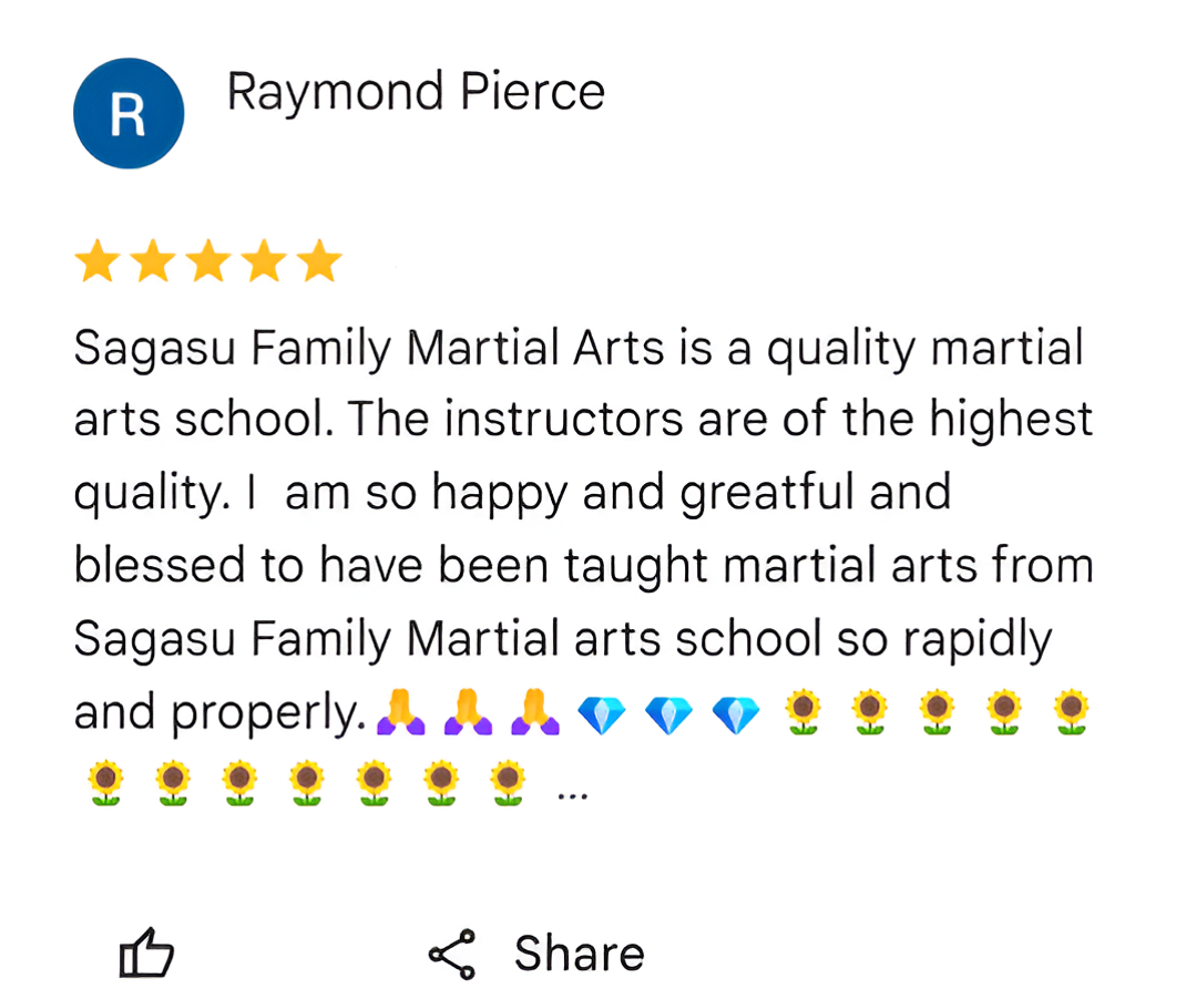 Adult Martial Arts Classes | Sagasu Family Martial Arts